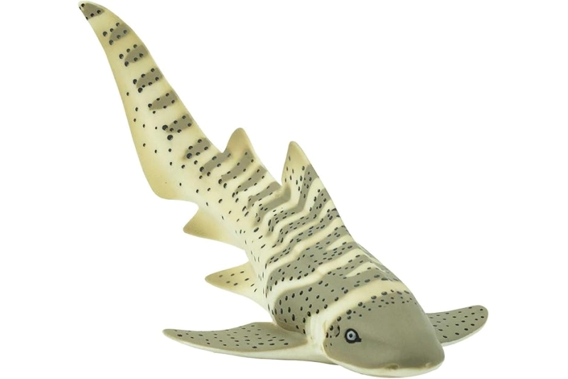 Tiburón cebra Safari Ltd.