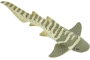 Tiburón cebra Safari Ltd.