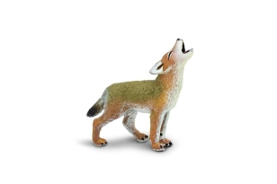 Coyote Safari Ltd.