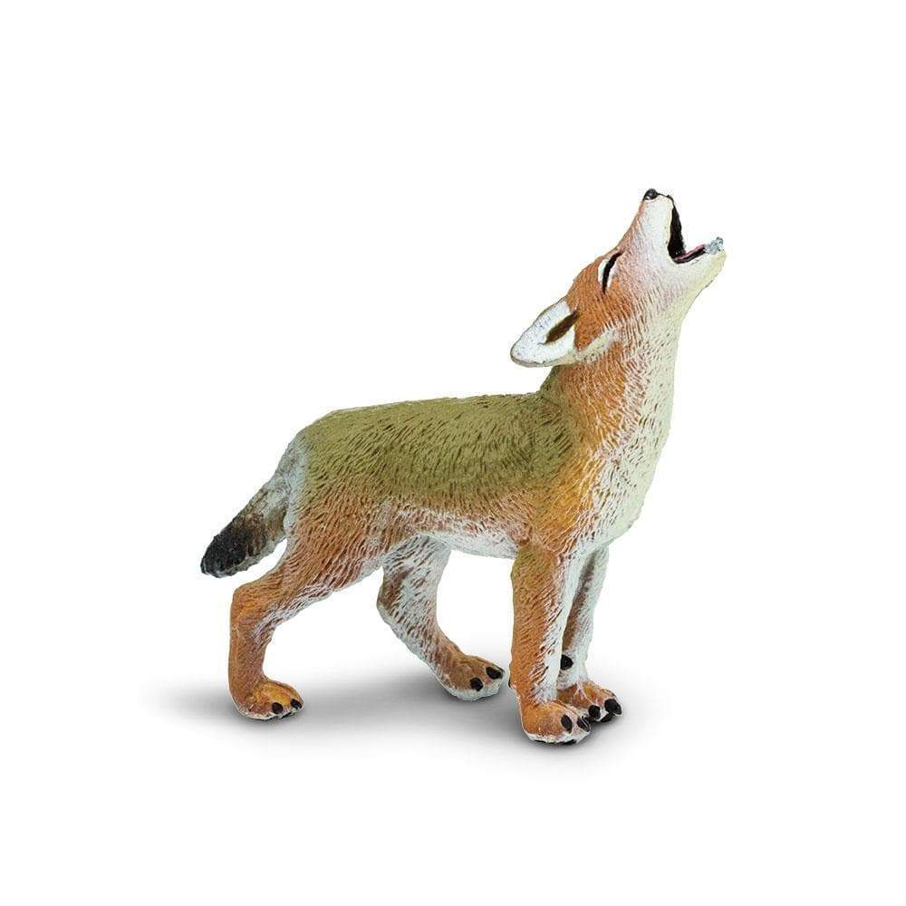 Coyote Safari Ltd.