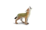 Coiot Safari Ltd.