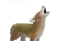Coyote Safari Ltd.