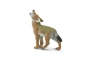 Coyote Safari Ltd.