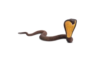 Cobra Safari Ltd.