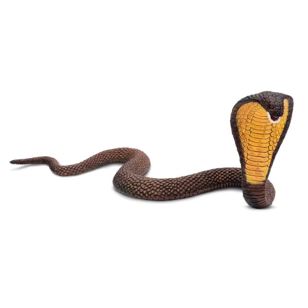 Cobra Safari Ltd.