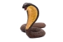 Cobra Safari Ltd.