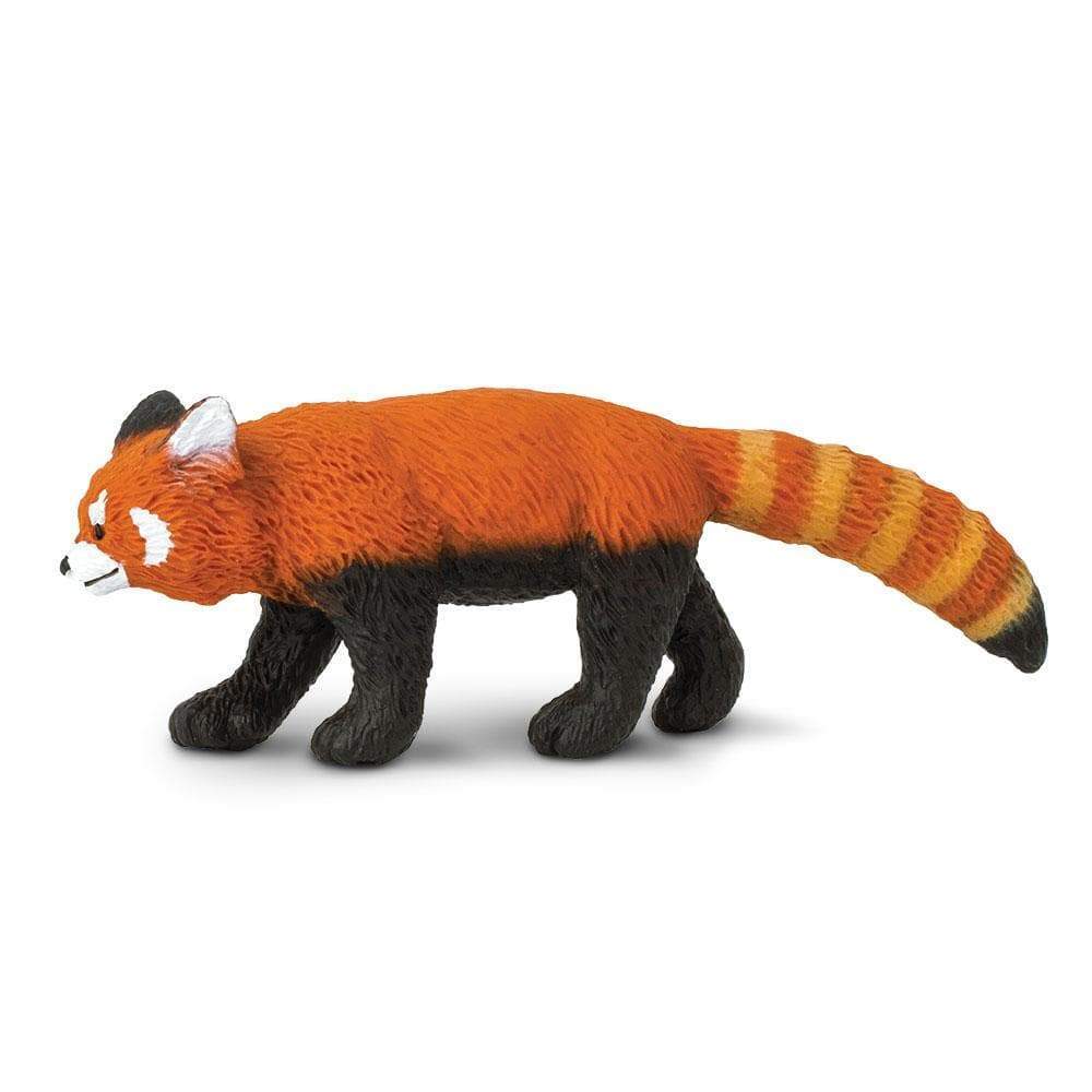 Panda vermell Safari Ltd.