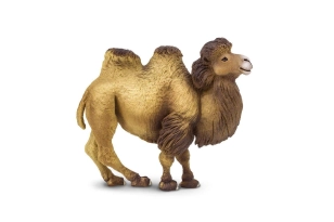 Camell Safari Ltd.