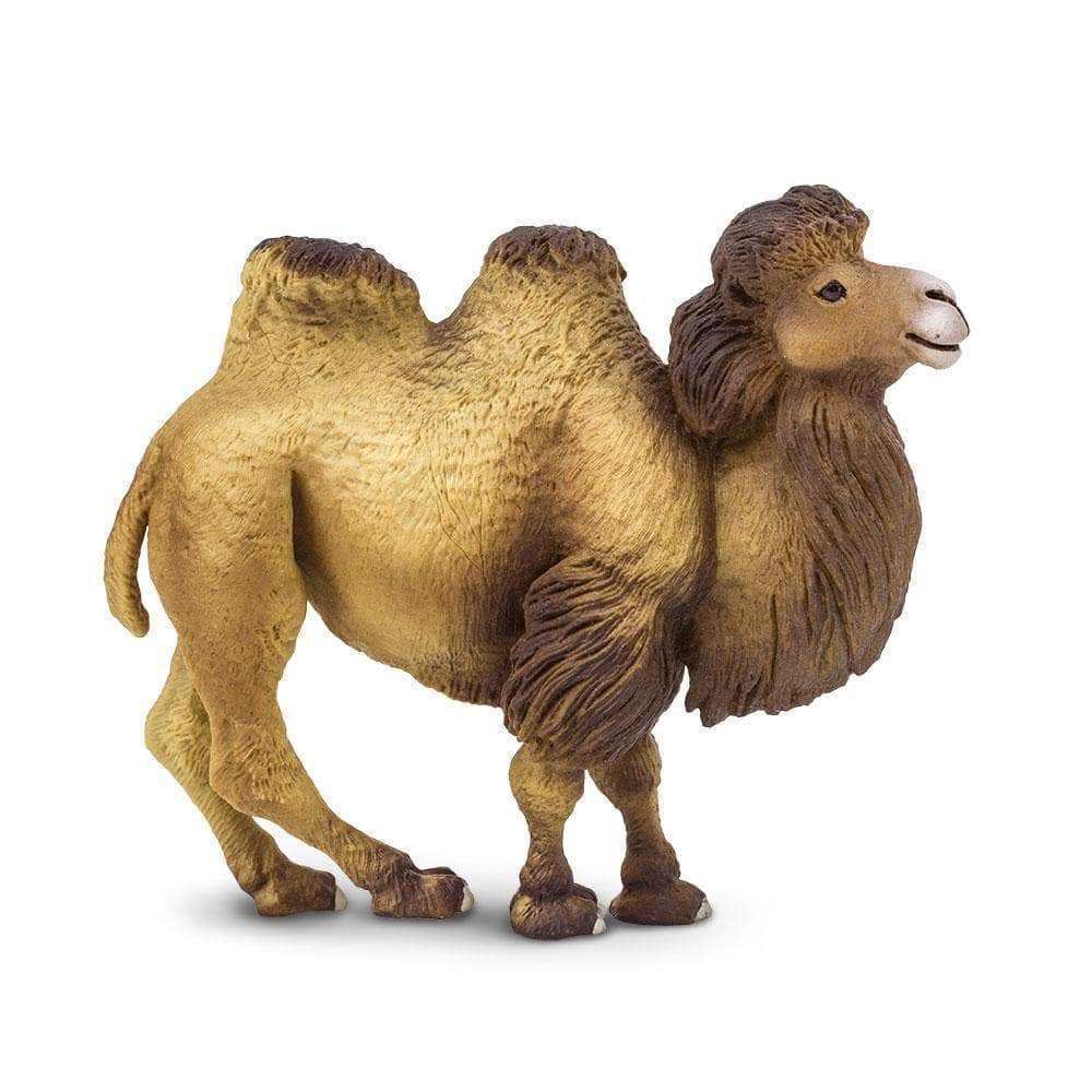 Camello Safari Ltd.