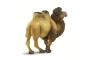 Camello Safari Ltd.