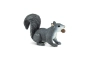 Ardilla Safari Ltd.