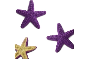 Mini Estrella de mar de goma