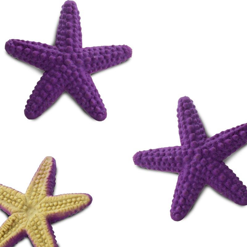 Mini Estrella de mar de goma