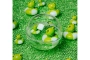 Happy Bubbles Ranas