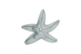 Estrelles de mar per bossejar