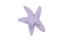 Estrelles de mar per bossejar