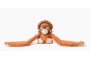 Orangutan Ollie - Peluix amb pes