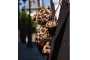 Bolso osset guepard