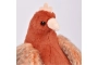 Peluix Gallina dels ous d'or