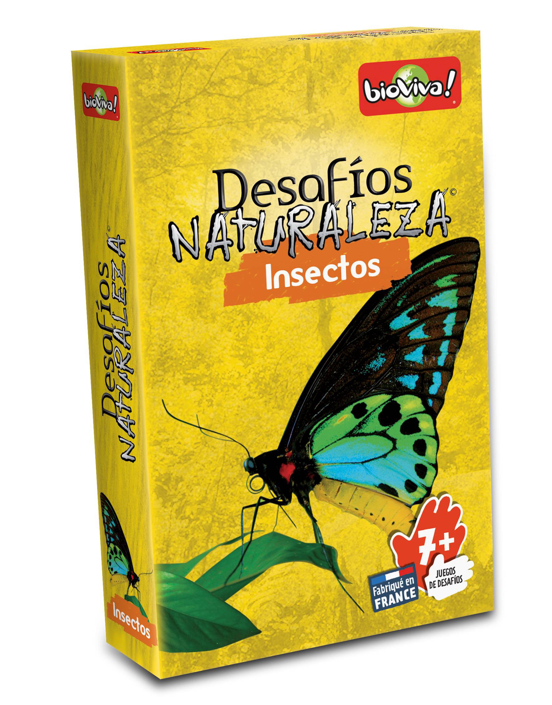 Desafíos Naturaleza:  Insectos