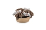 Perro apestoso peluche pequeño 24cm