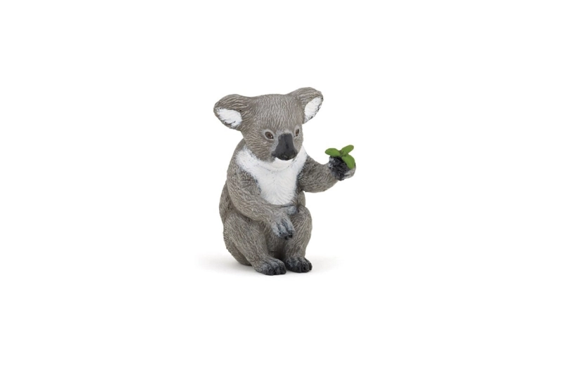 Koala Papo
