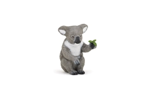 Koala Papo