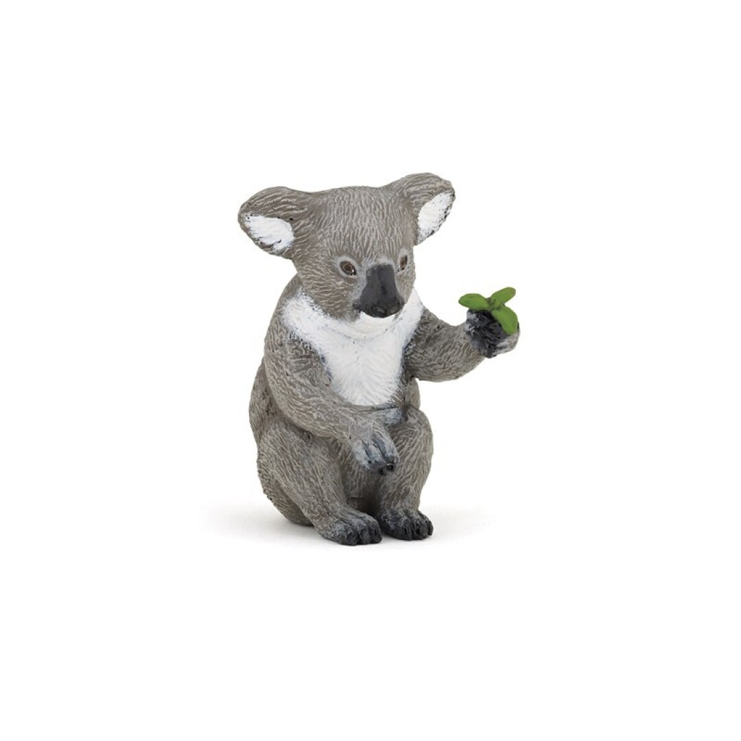 Koala Papo