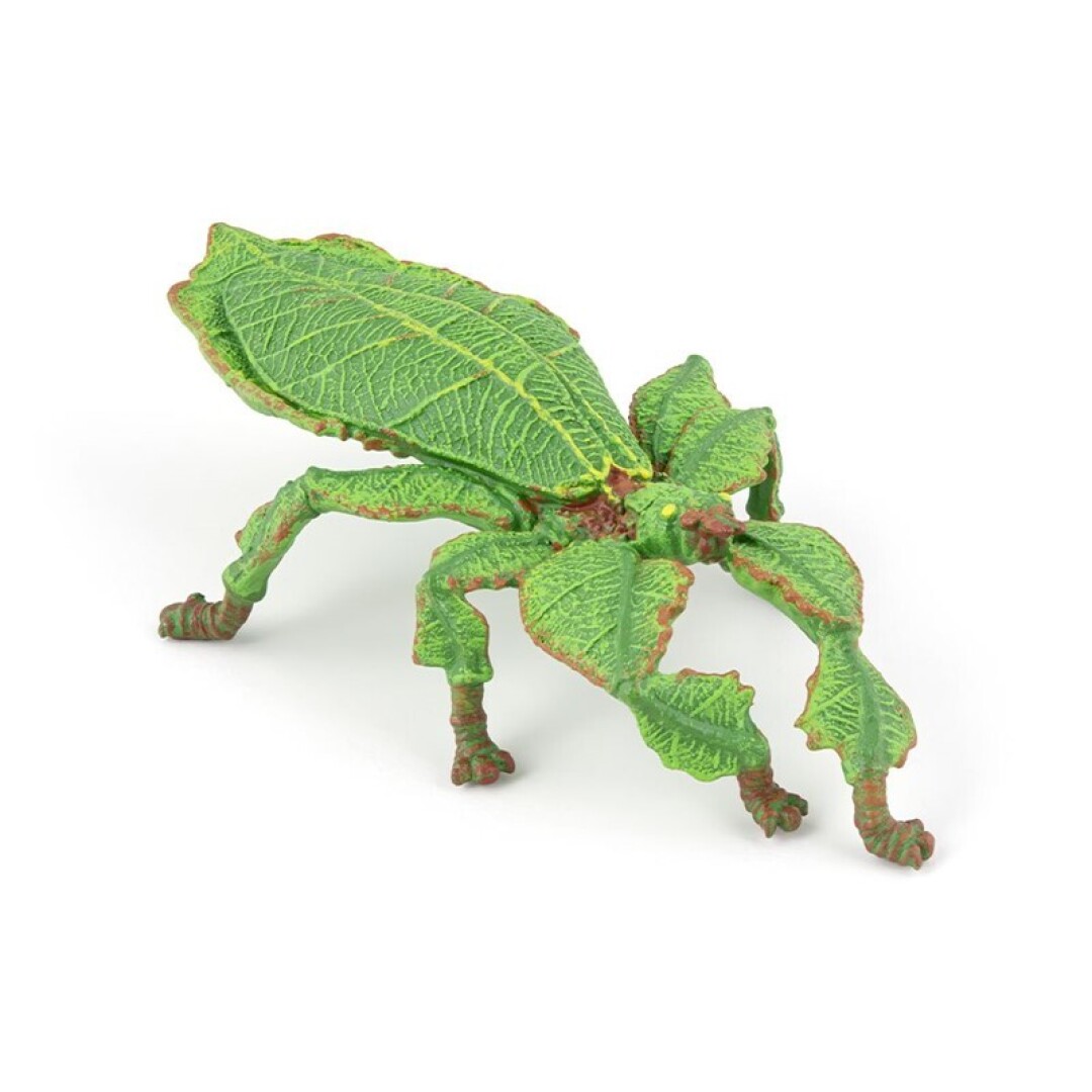 Insecto hoja Papo