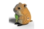 Eugy Quokka