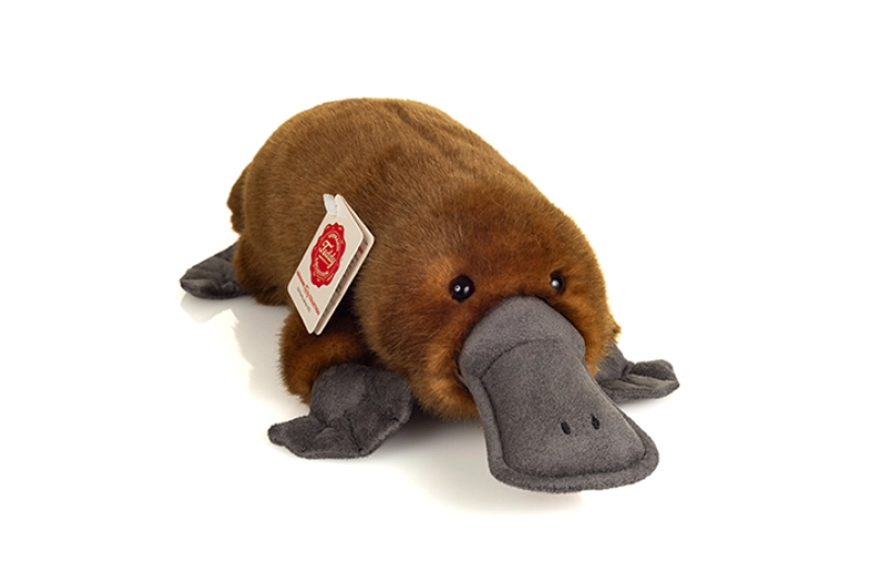 Peluix Ornitorrinc 35 cm