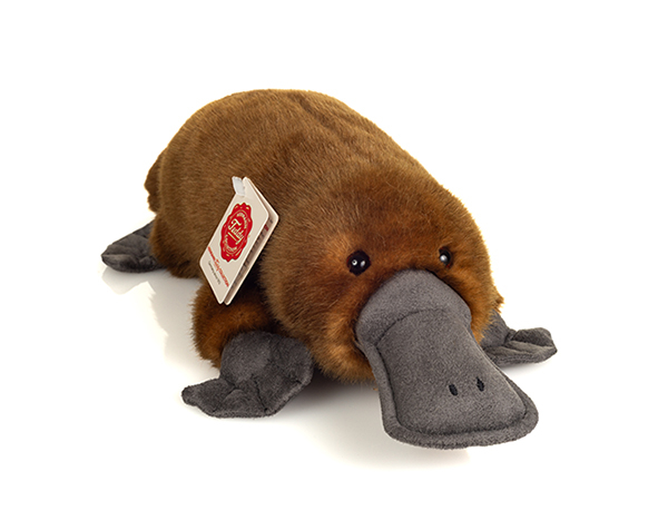 Peluix Ornitorrinc 35 cm