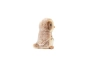 Peluix Mussol marró clar de 16 cm